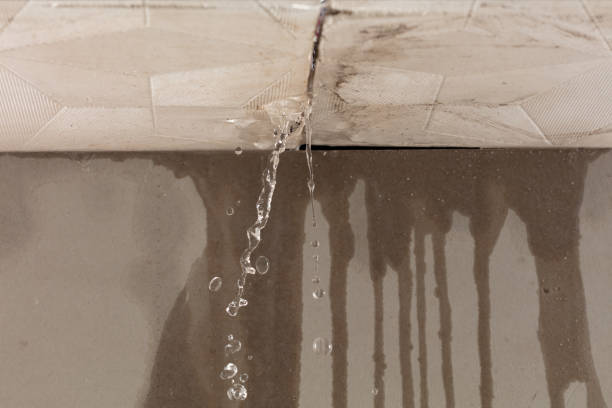 Professional Water Damage Inspection technician working in Copeland, FL